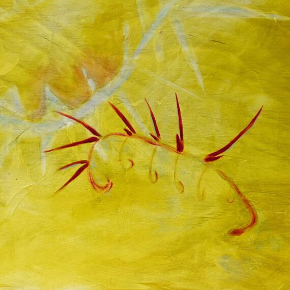 Jenn Cacciola studio